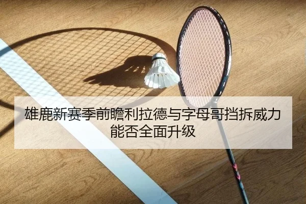 雄鹿新赛季前瞻利拉德与字母哥挡拆威力能否全面升级