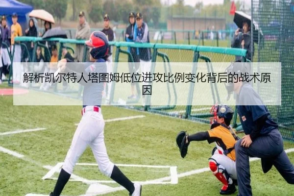 img_1783163360373_523_1_841.jpg